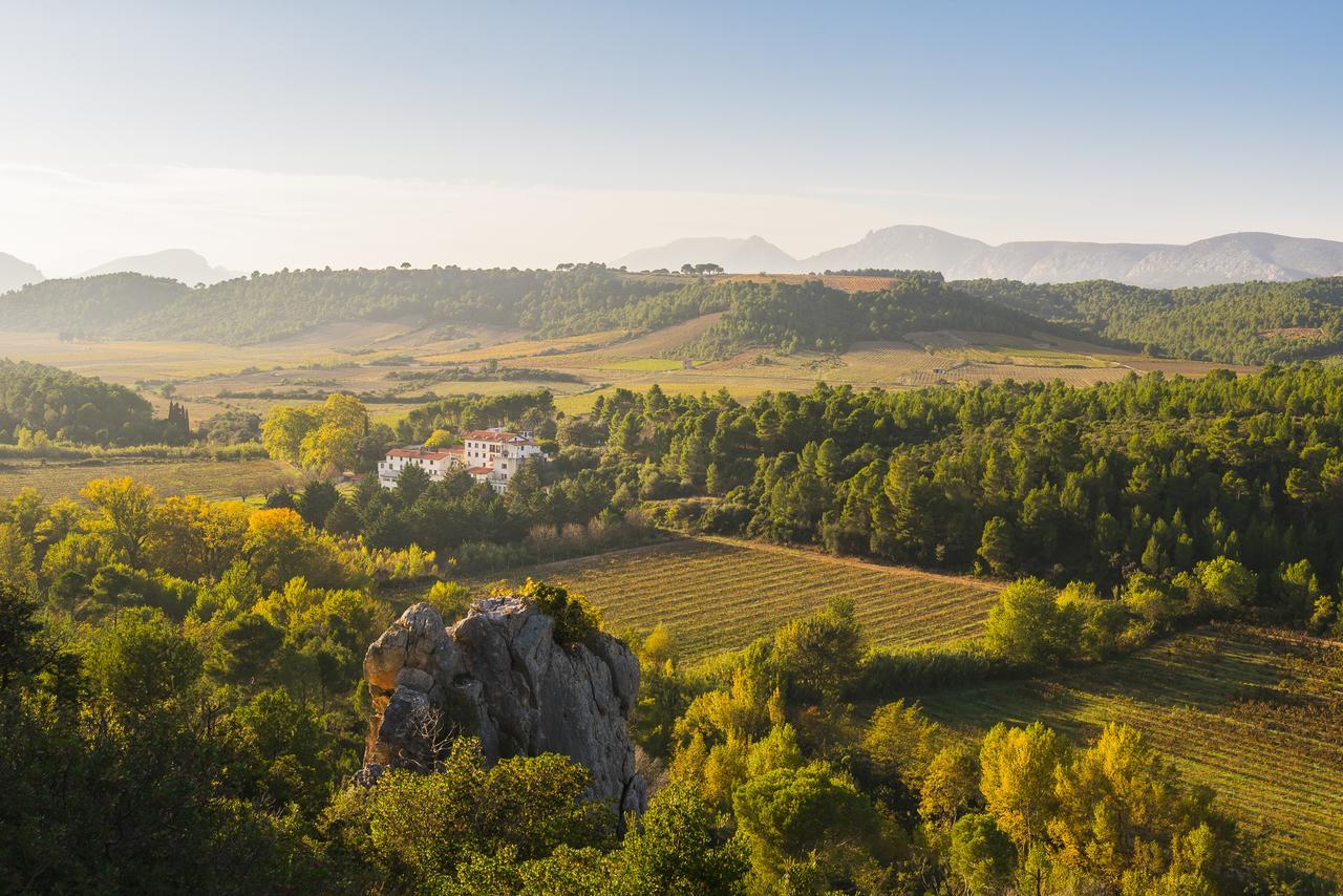 Chambres D'Hotes Et Gites- L'Abri Sous Roche Tautavel Zewnętrze zdjęcie